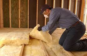 Best Insulation Removal  in Frankfort, IL